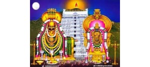 236. திருவண்ணாமலை